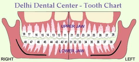 dental1 1